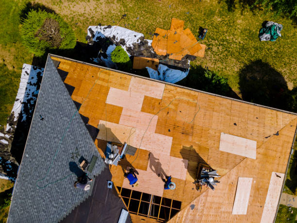 Best Commercial Roofing Services  in Plum, PA